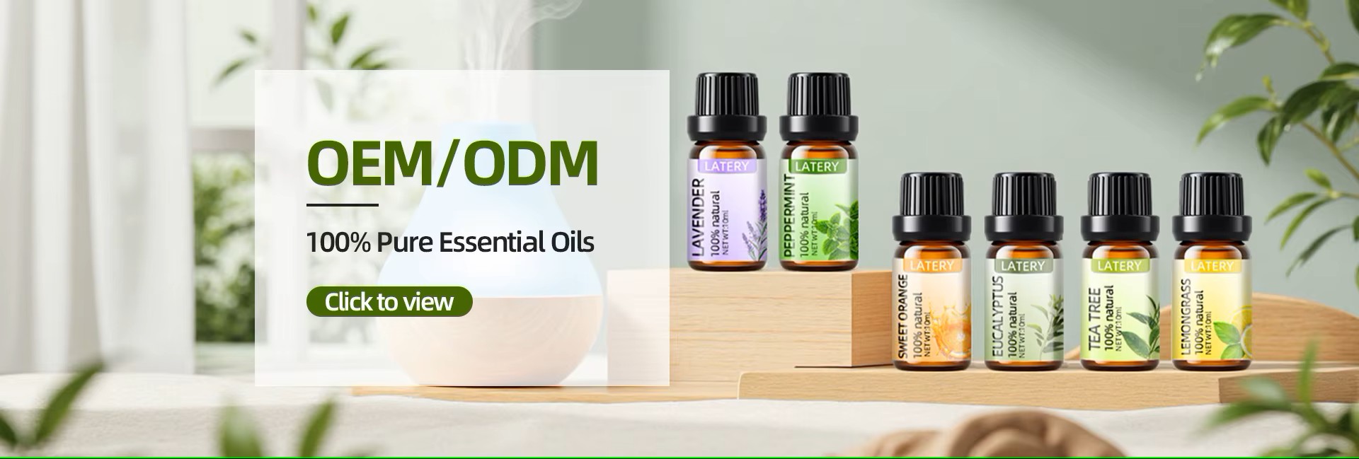 <span hidden>title</span>